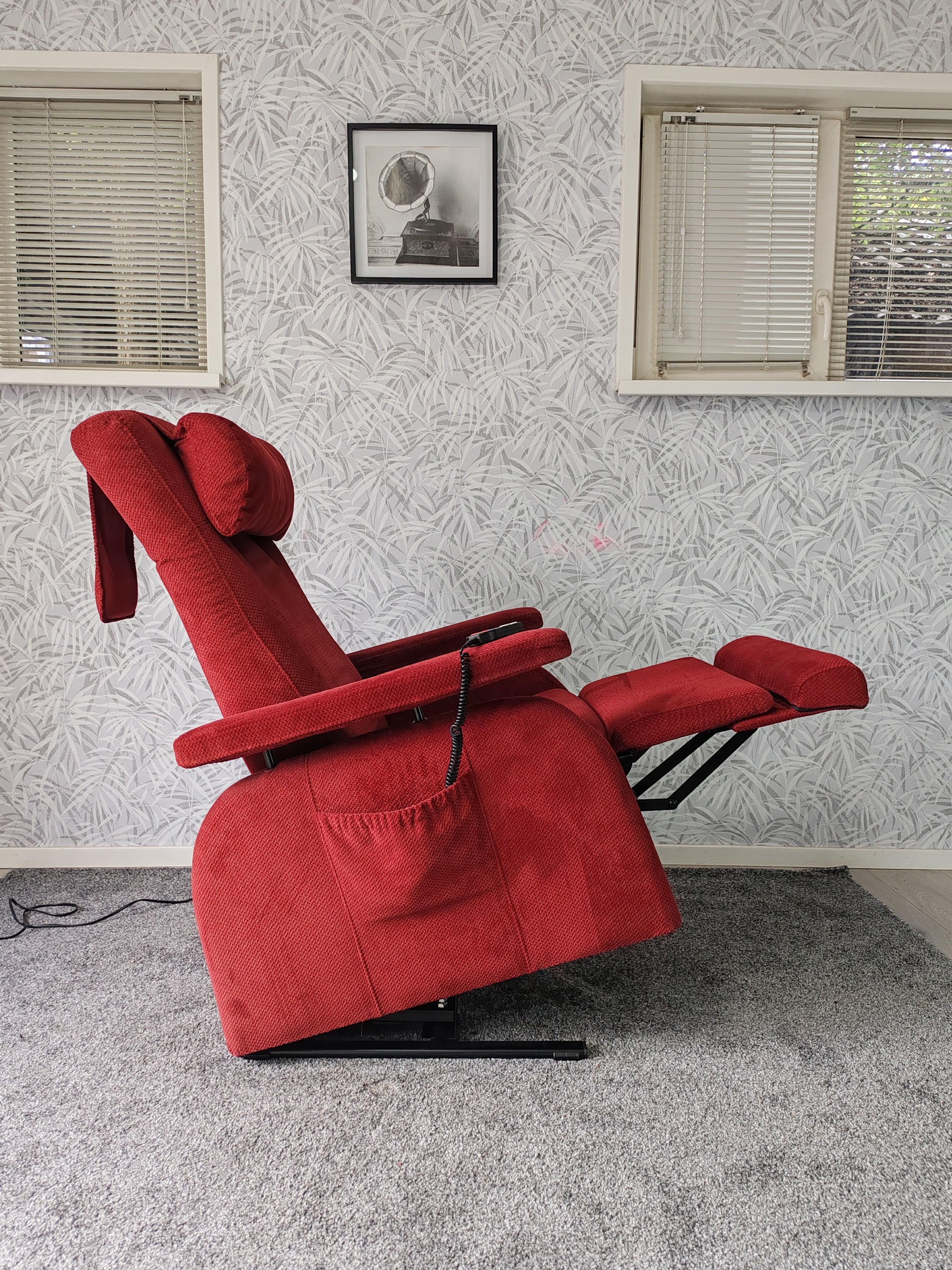 Doge sta op stoel relax fauteuil