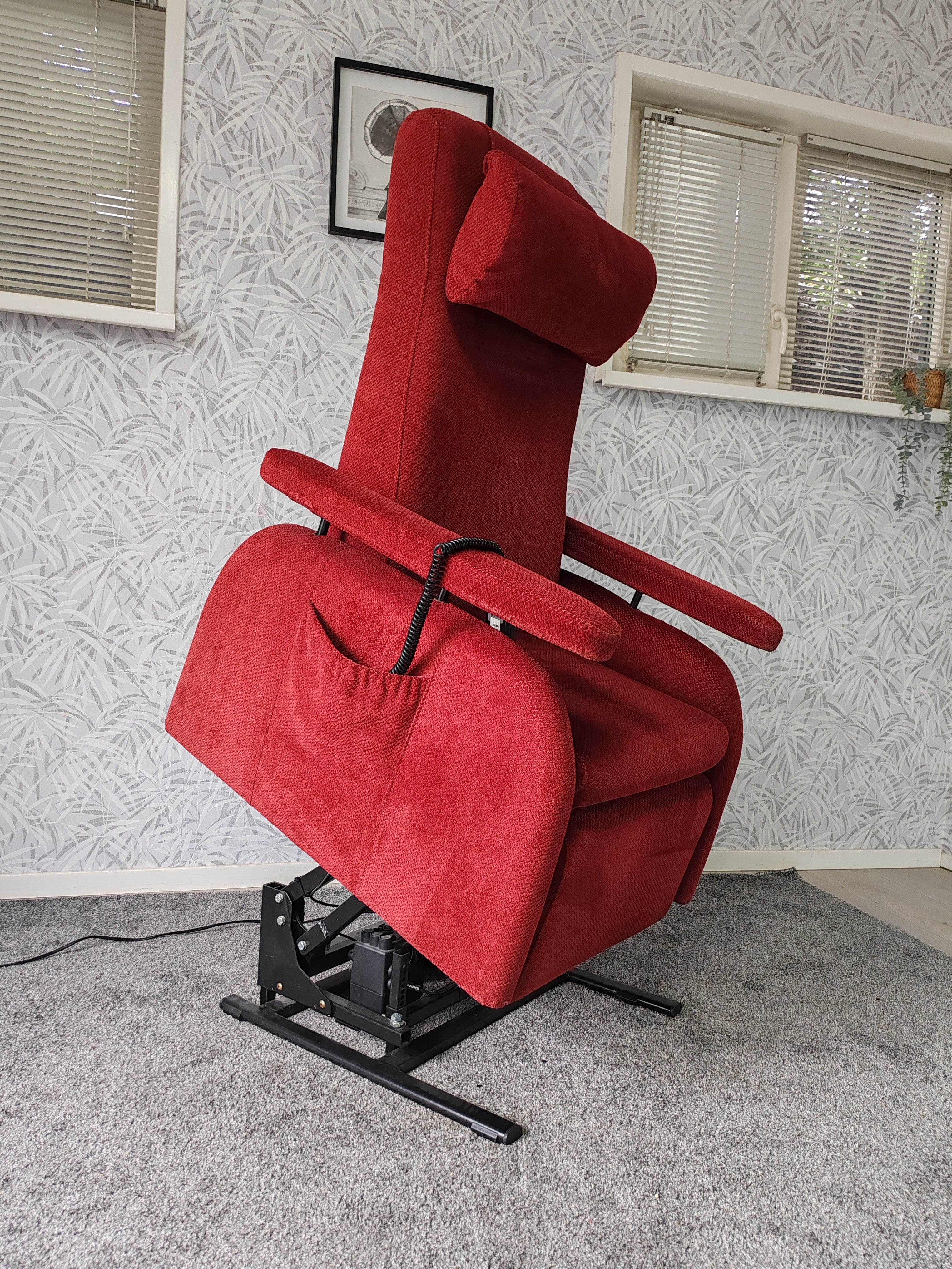 Doge sta op stoel relax fauteuil