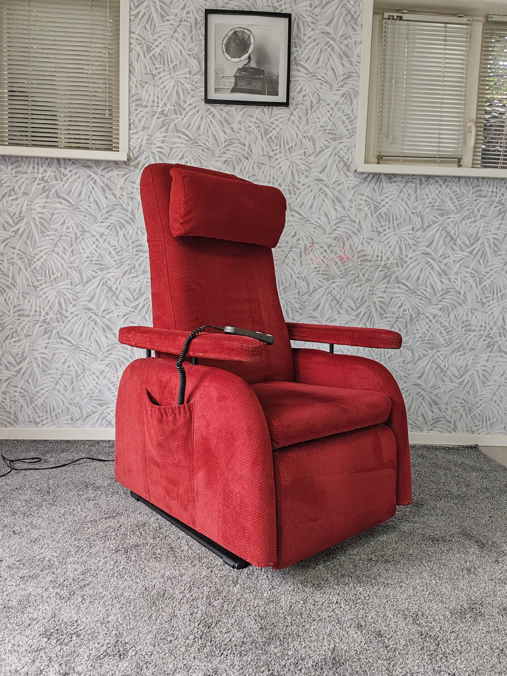 Doge sta op stoel relax fauteuil