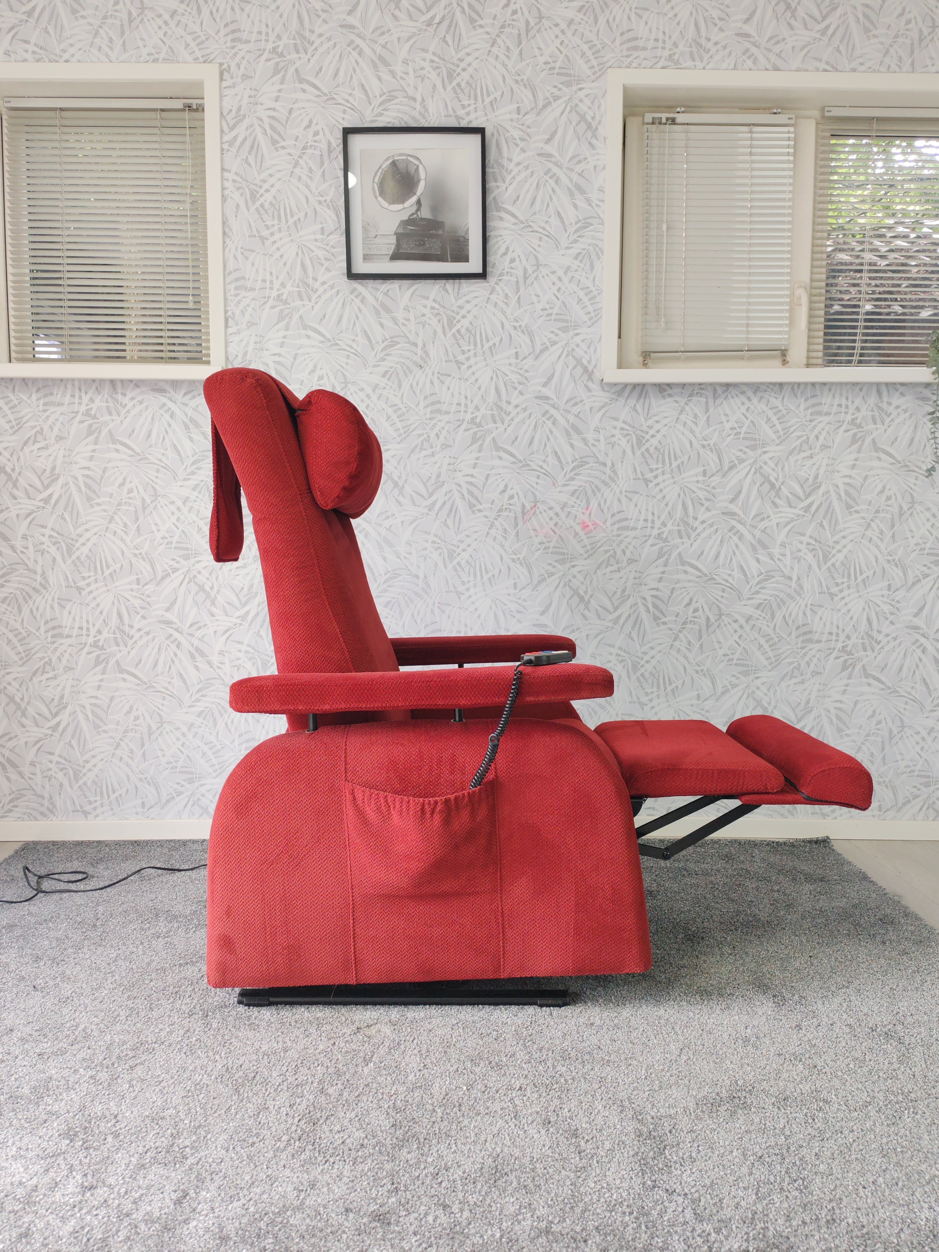 Doge sta op stoel relax fauteuil
