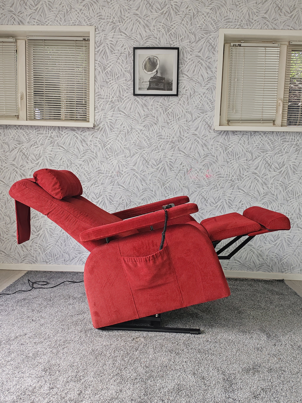 Doge sta op stoel relax fauteuil